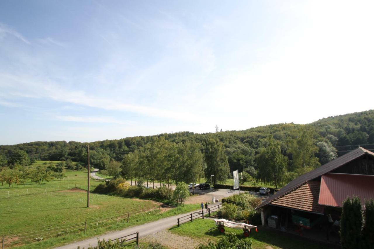 Ferienwohnung Edelbrenner Rimbach  Екстериор снимка